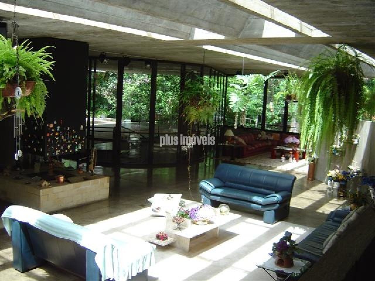 Foto 11
