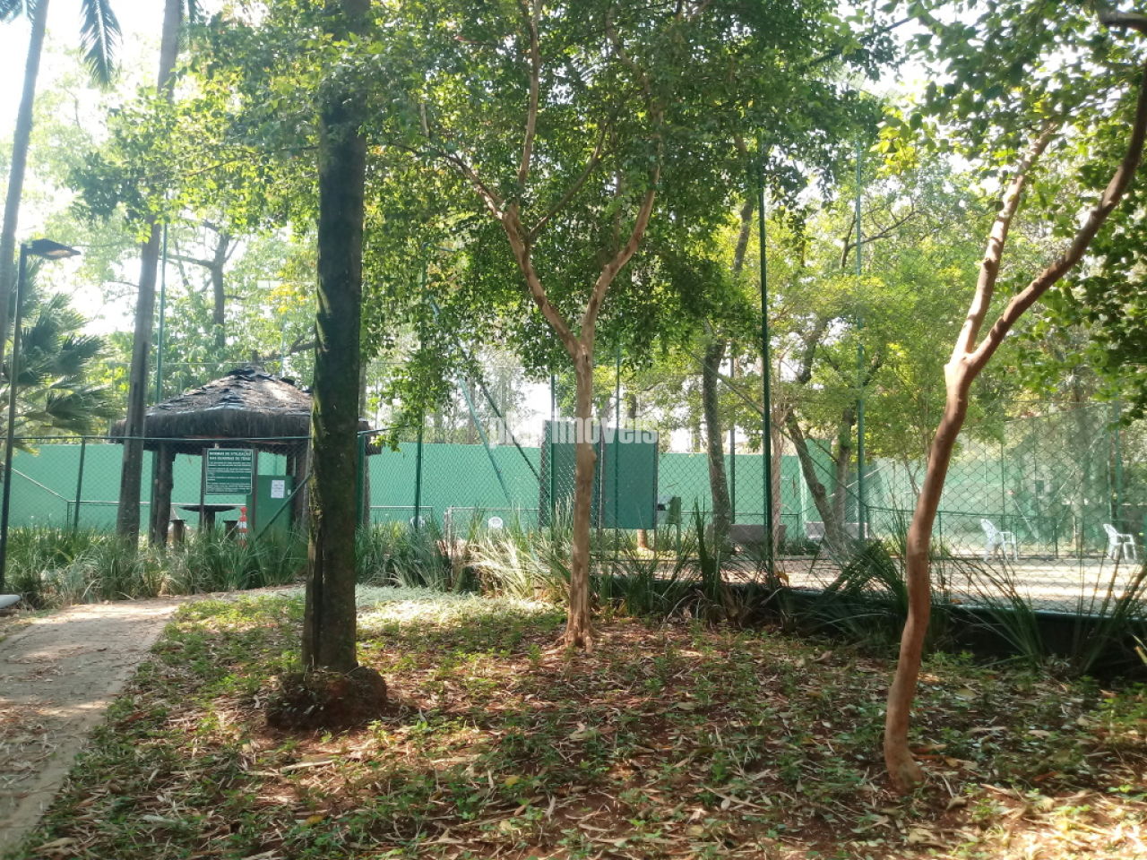 Foto 11