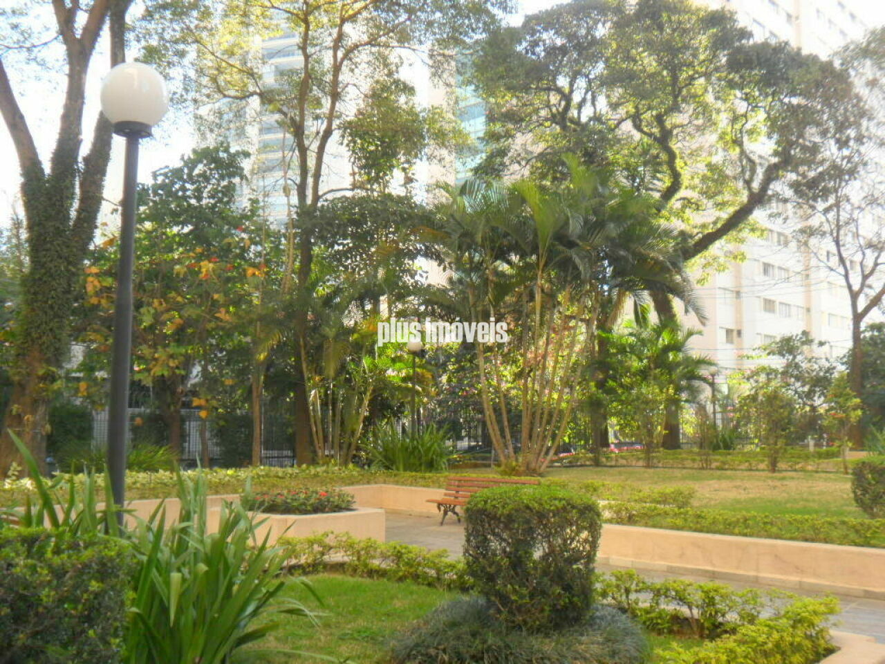 Foto 19