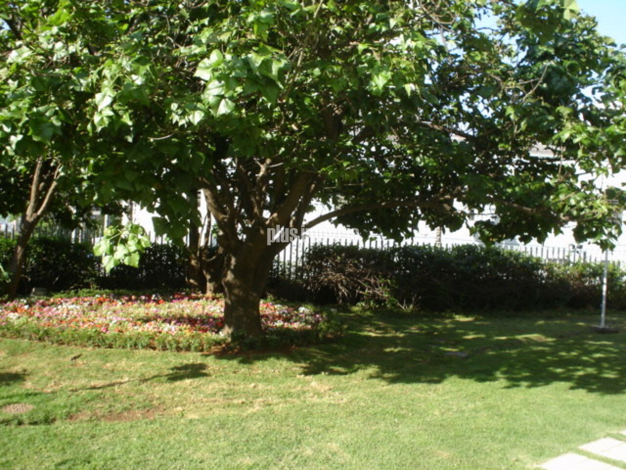 Foto 18
