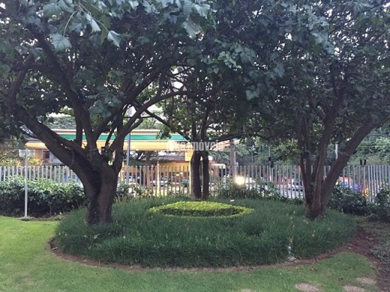 Foto 16
