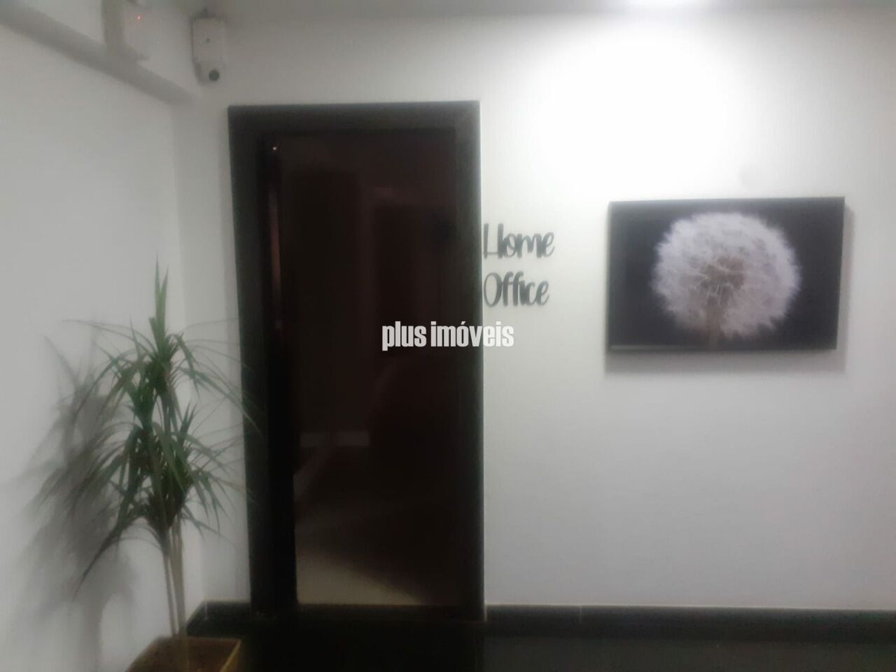 Foto 21