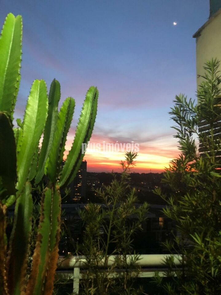 Foto 40
