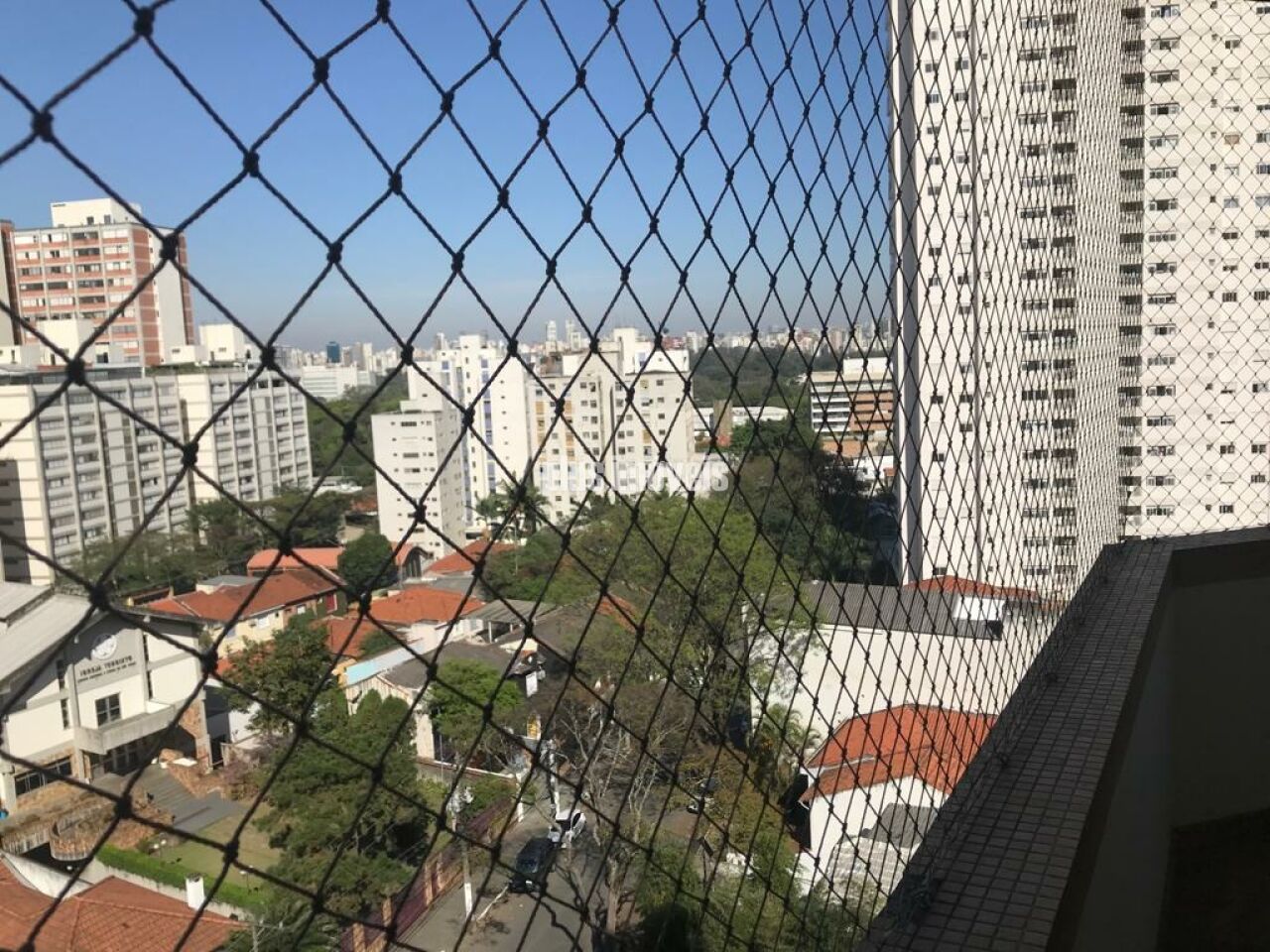 Foto 19