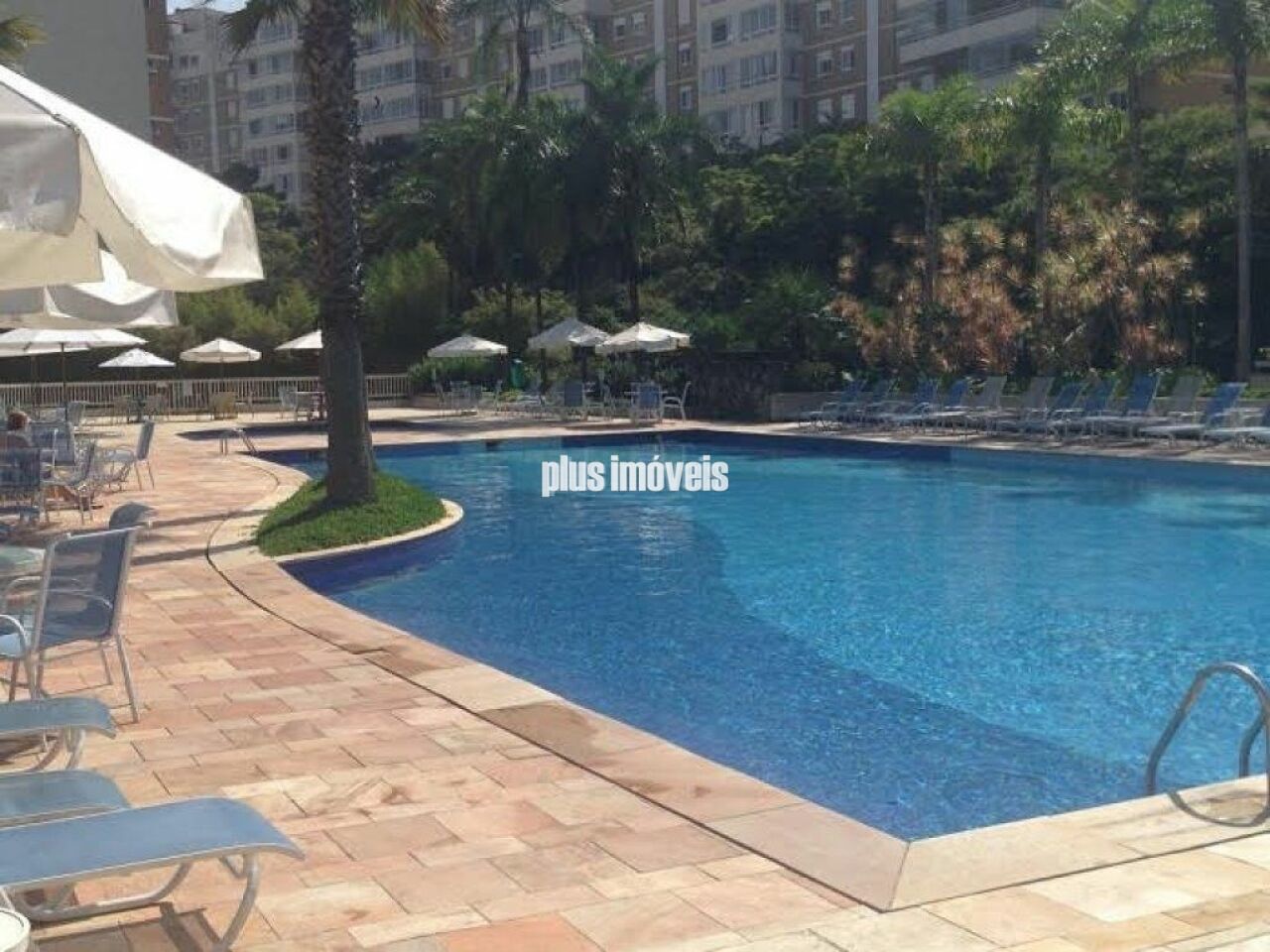 Foto 19