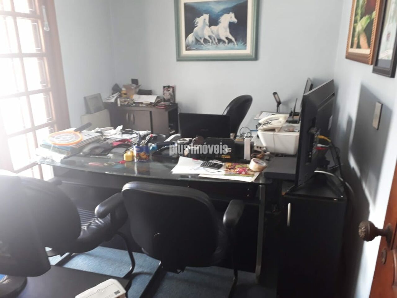 Foto 16