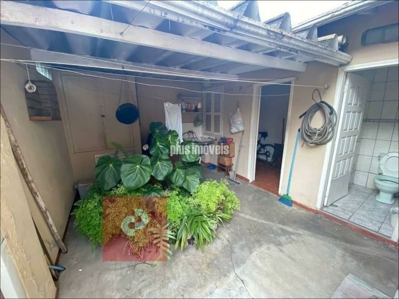 Foto 5