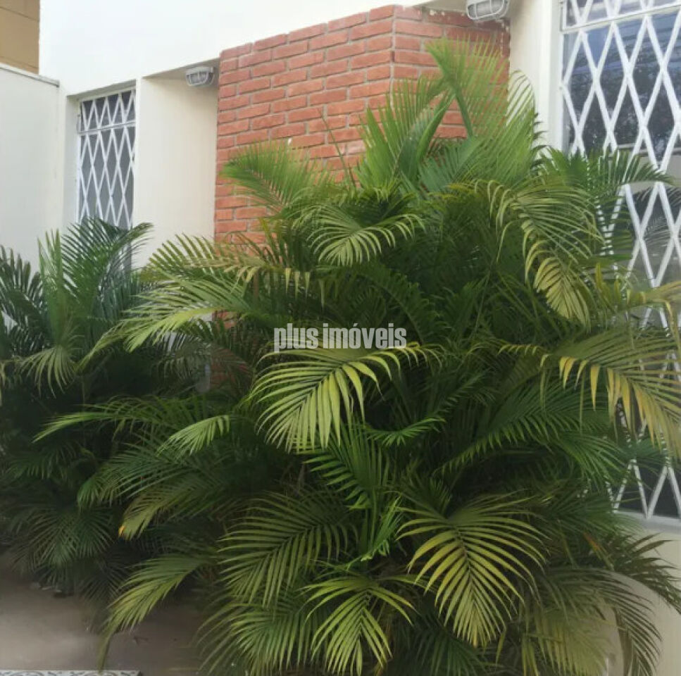 Casa, 3 quartos, 234 m² - Foto 5