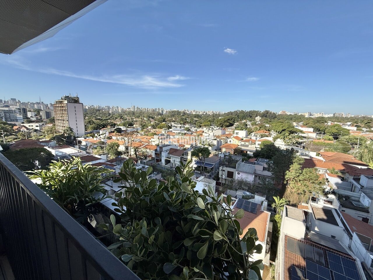 Foto 24