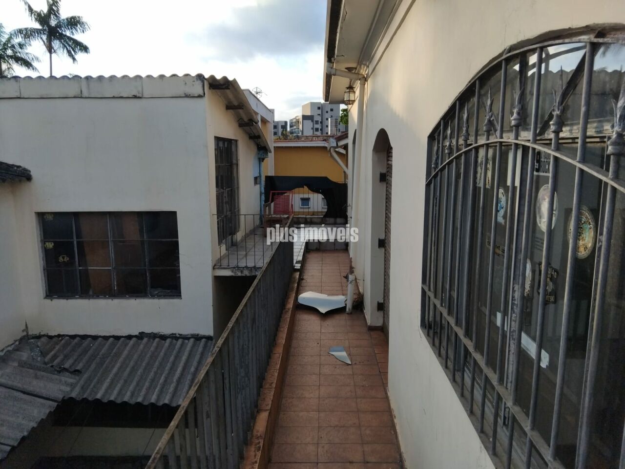 Foto 42