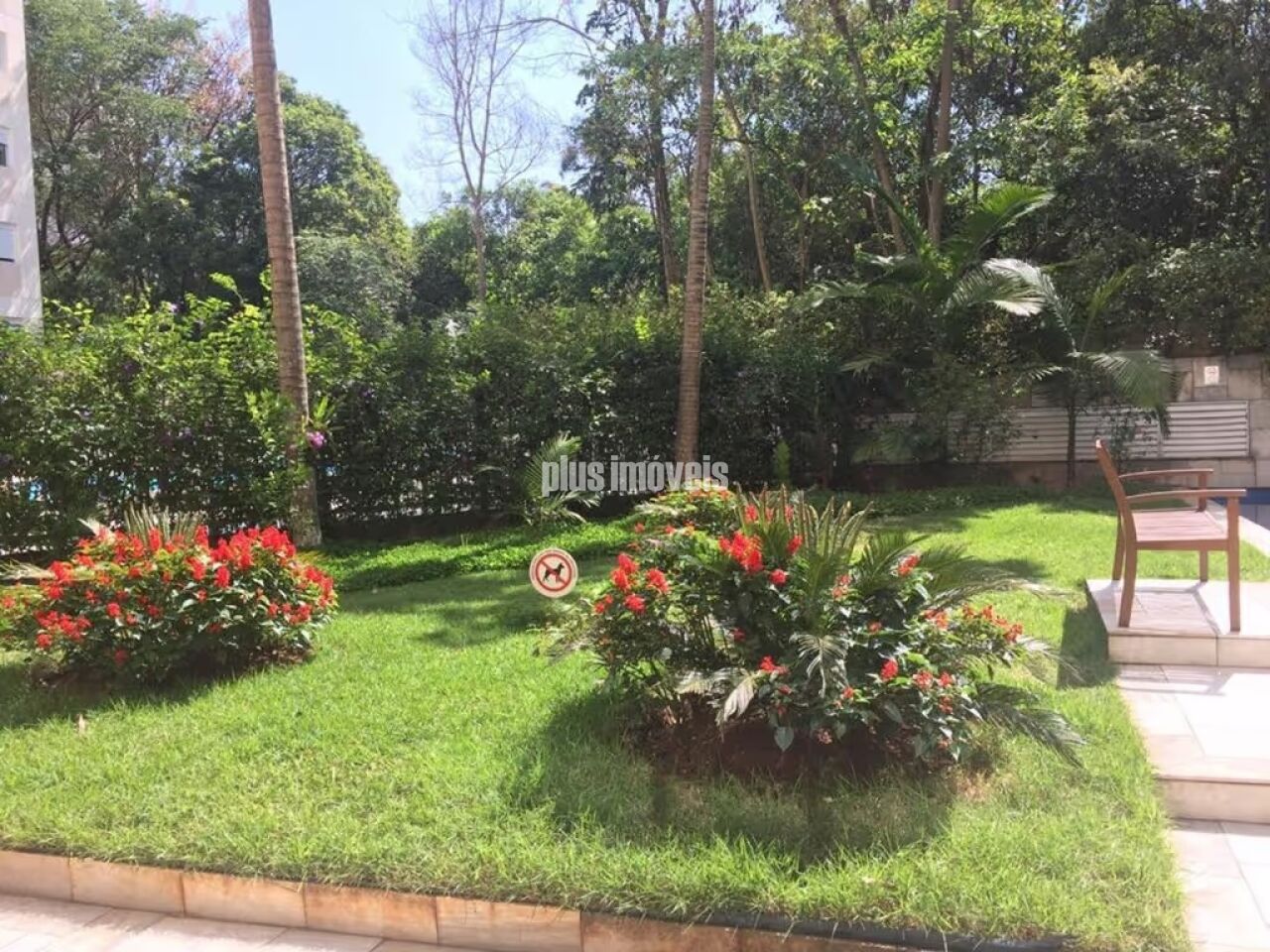 Foto 17