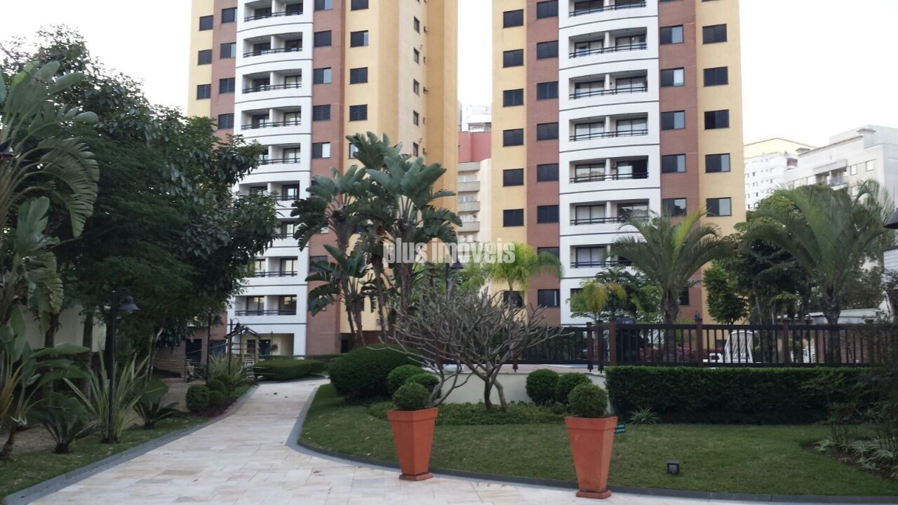 Foto 19