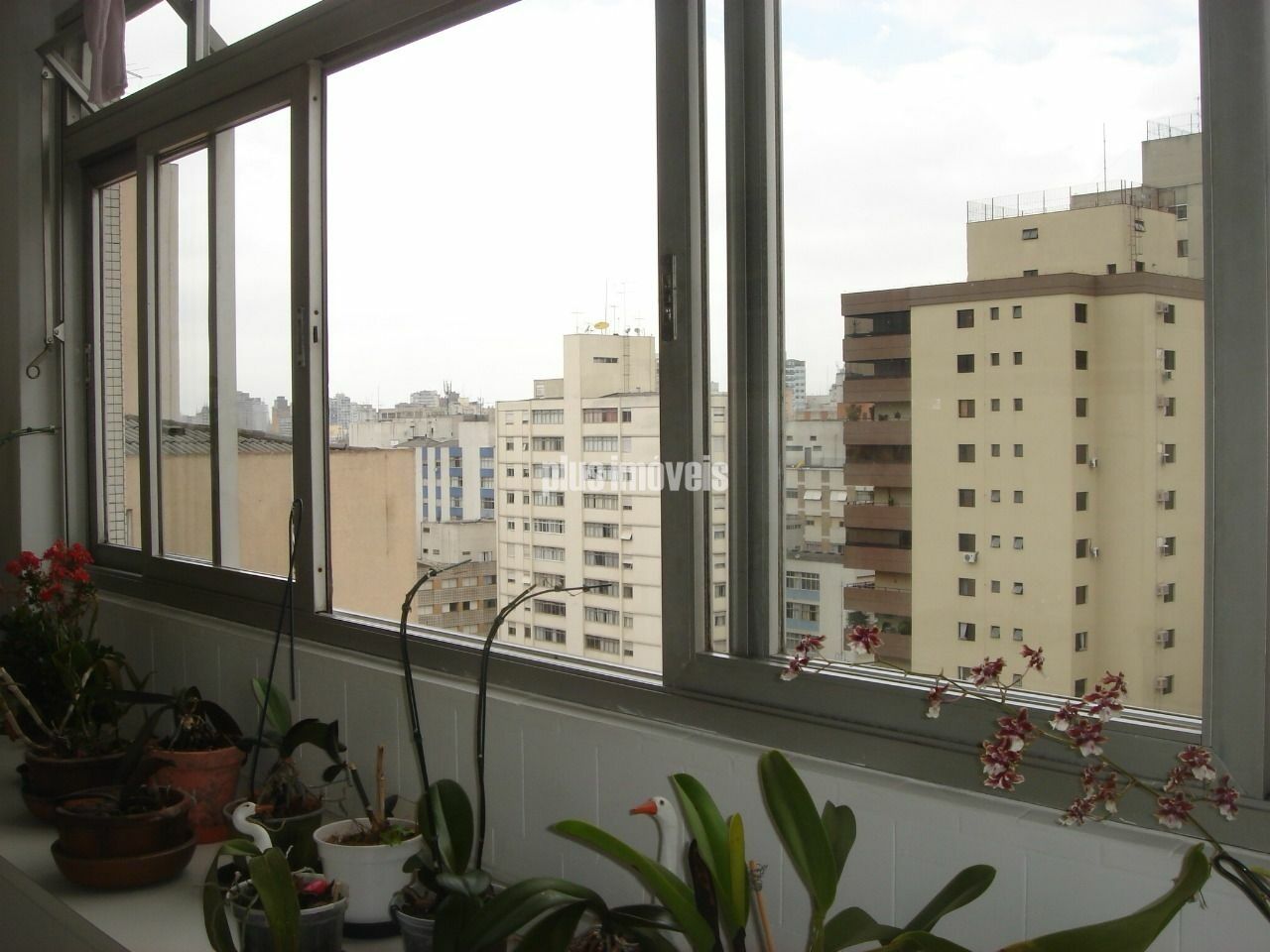 Foto 31