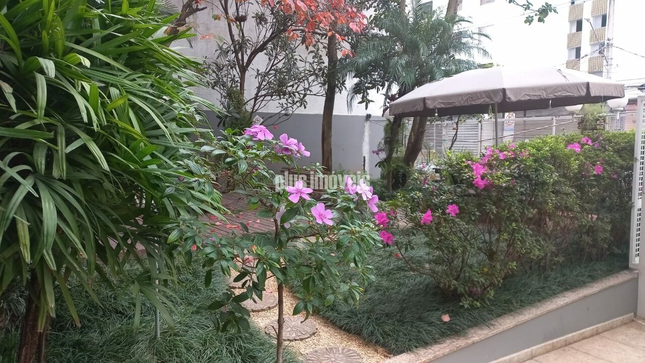 Foto 35