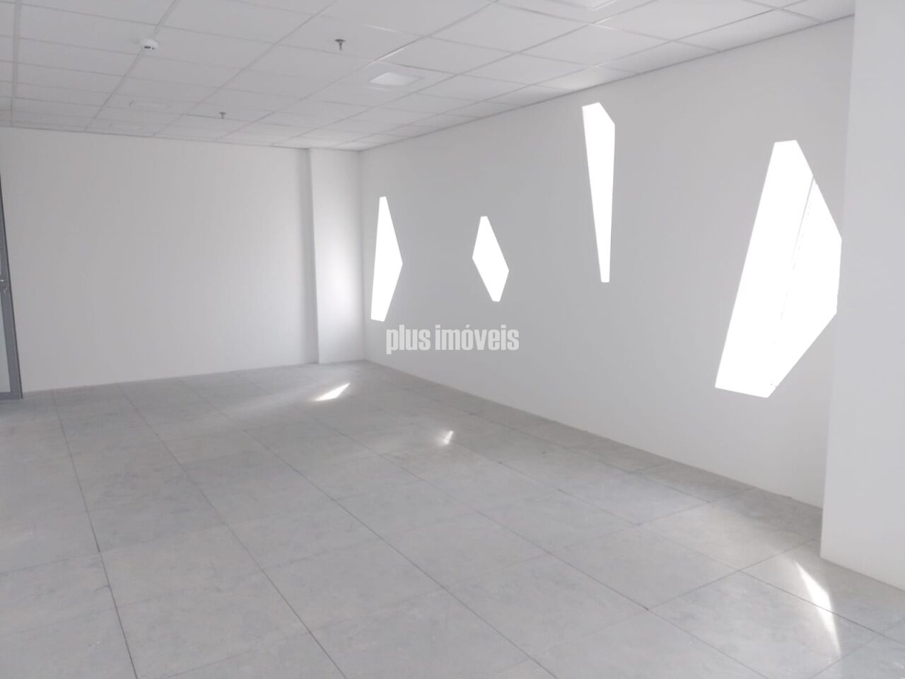Sala-Conjunto, 316 m² - Foto 5