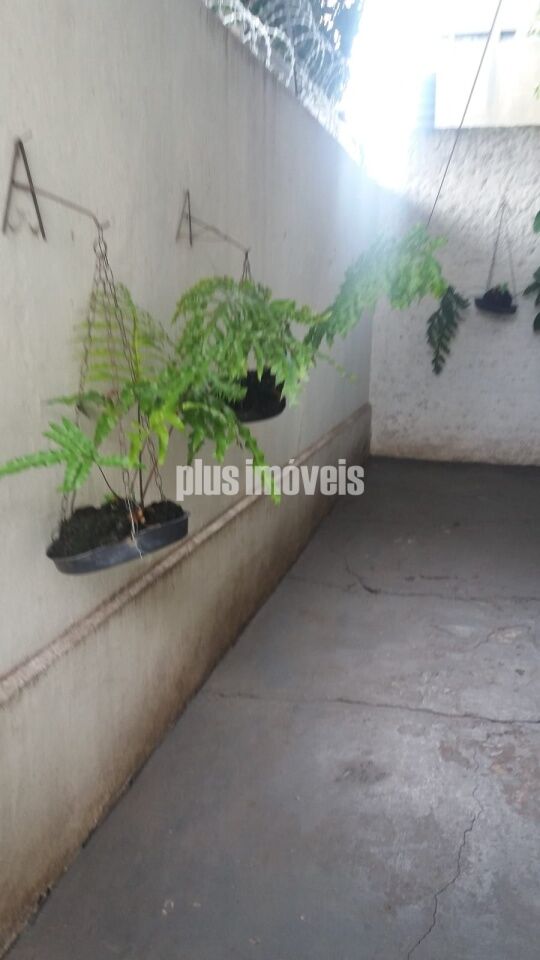 Casa, 4 quartos, 120 m² - Foto 29