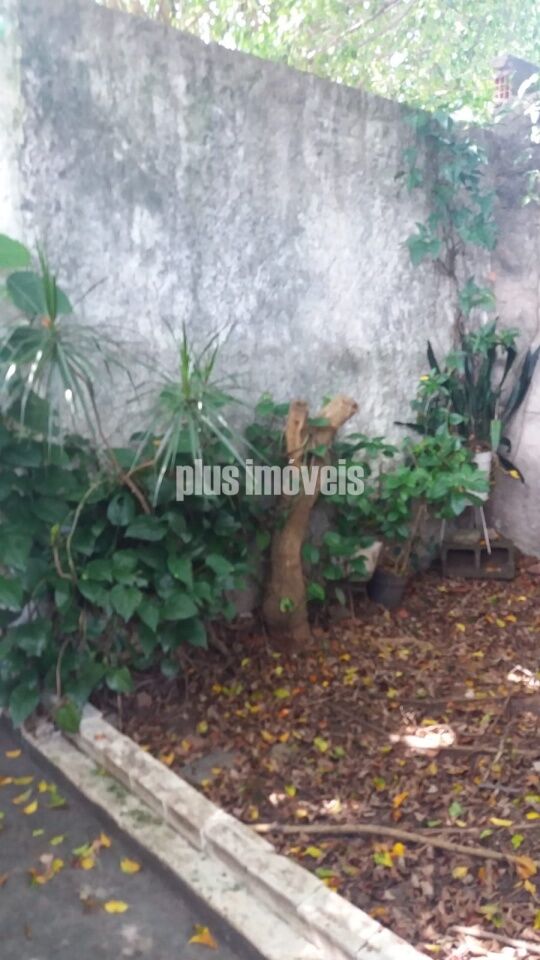 Casa, 4 quartos, 120 m² - Foto 28