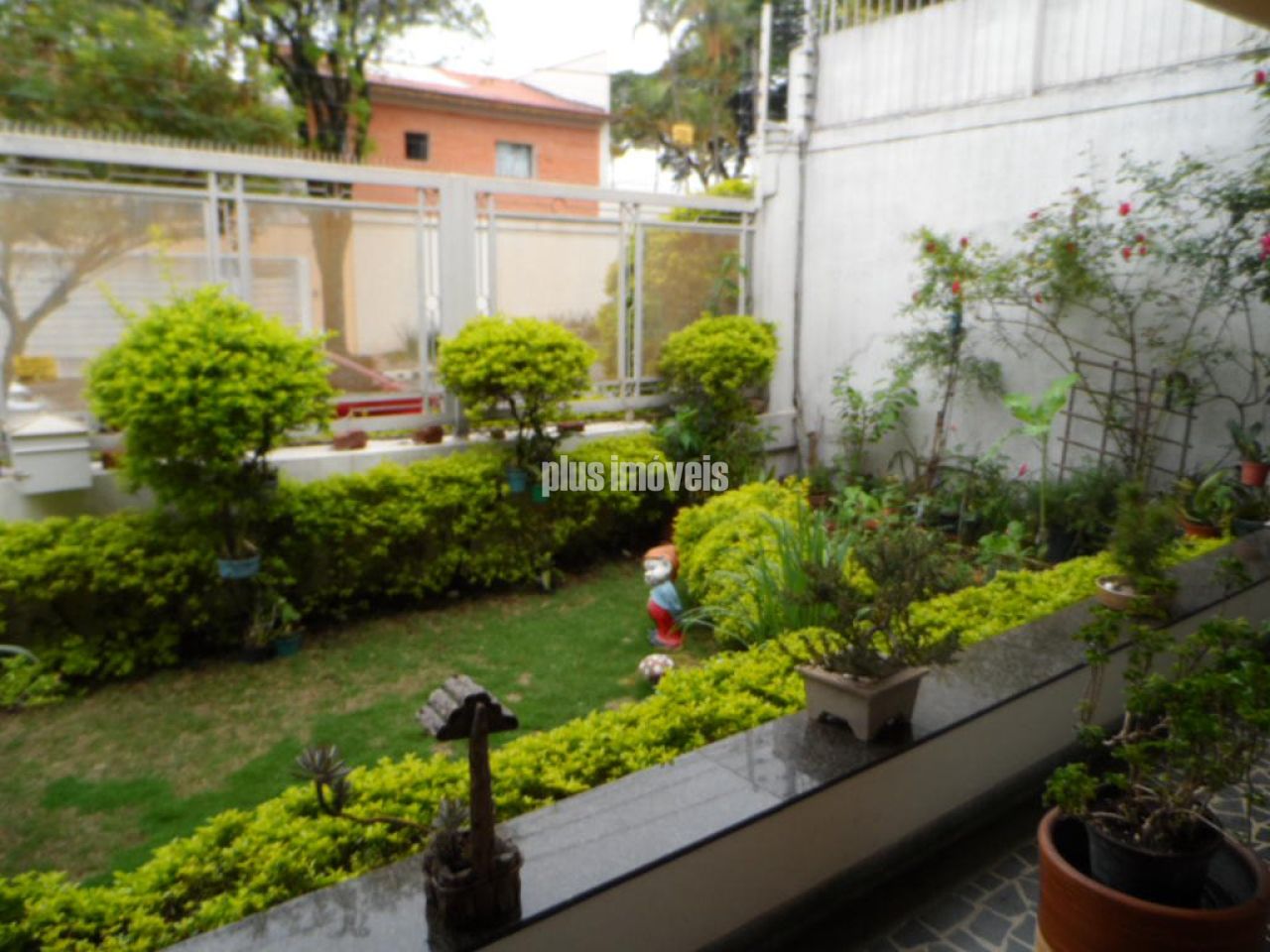 Foto 11