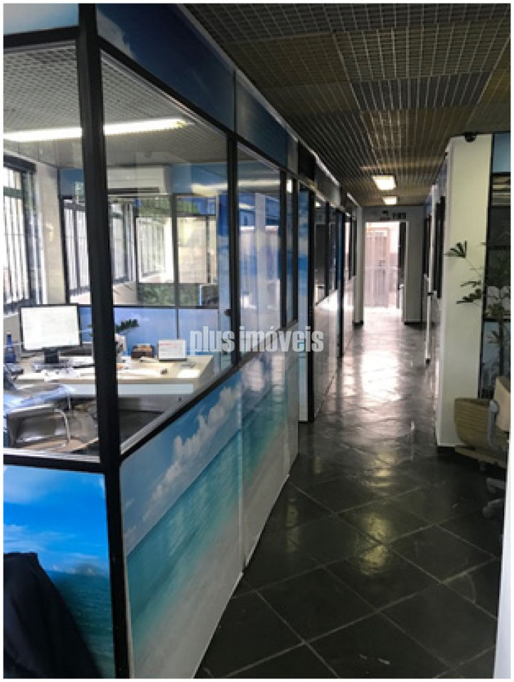 Foto 11