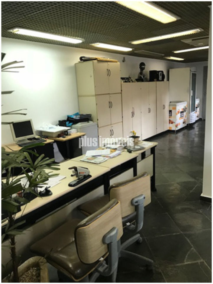 Foto 10