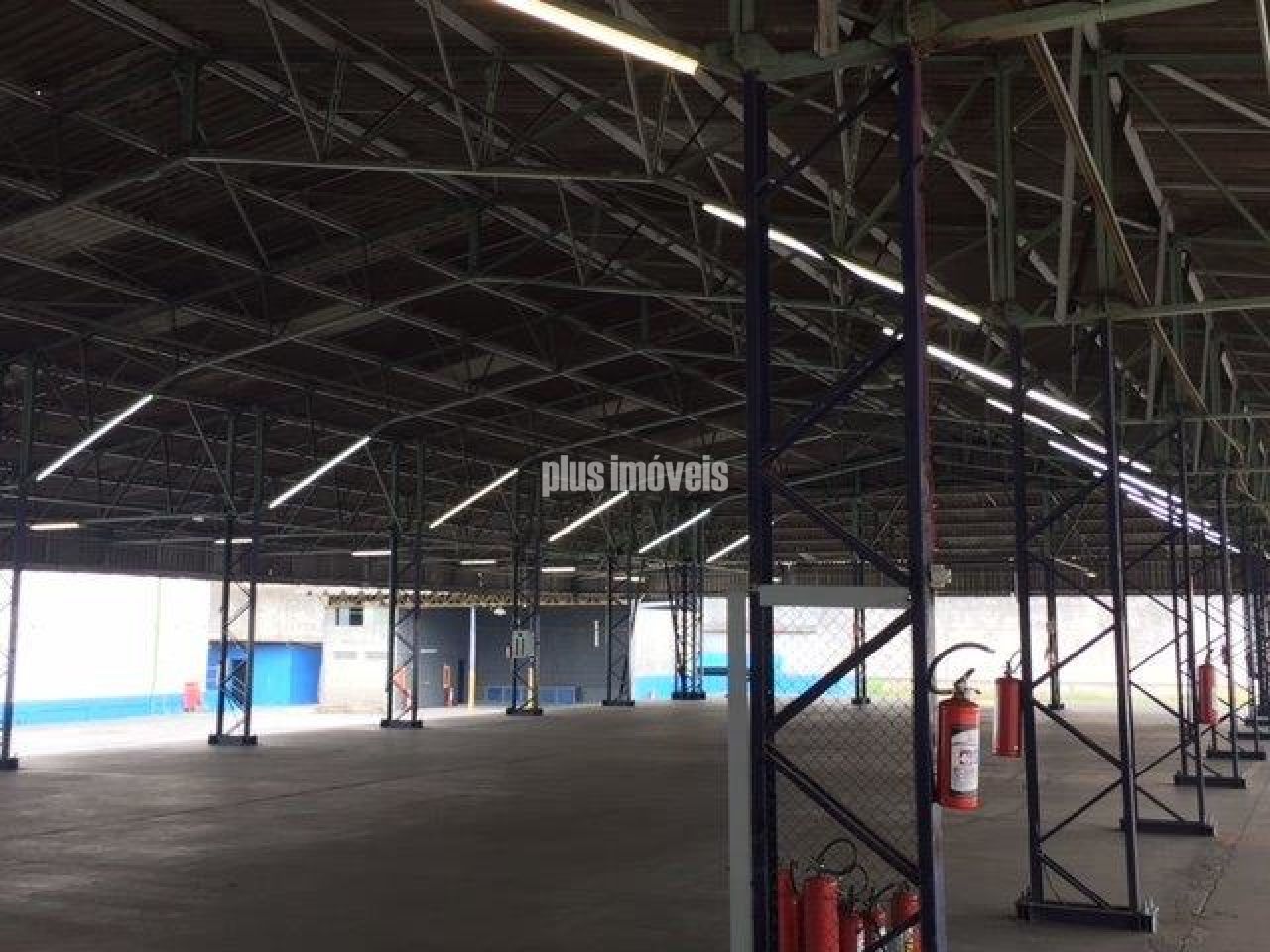 Foto 19