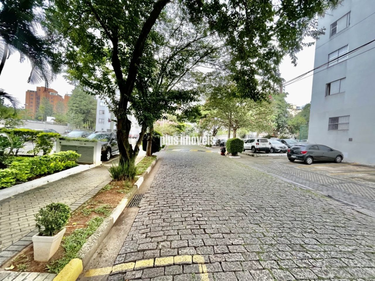 Foto 17