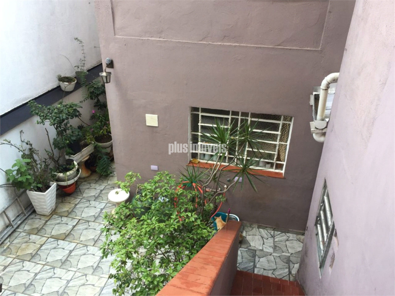 Foto 24