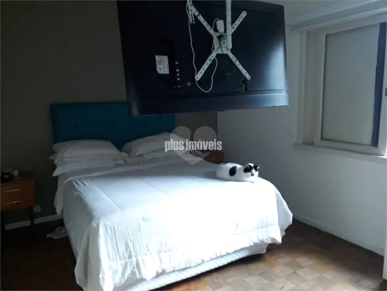 Foto 13