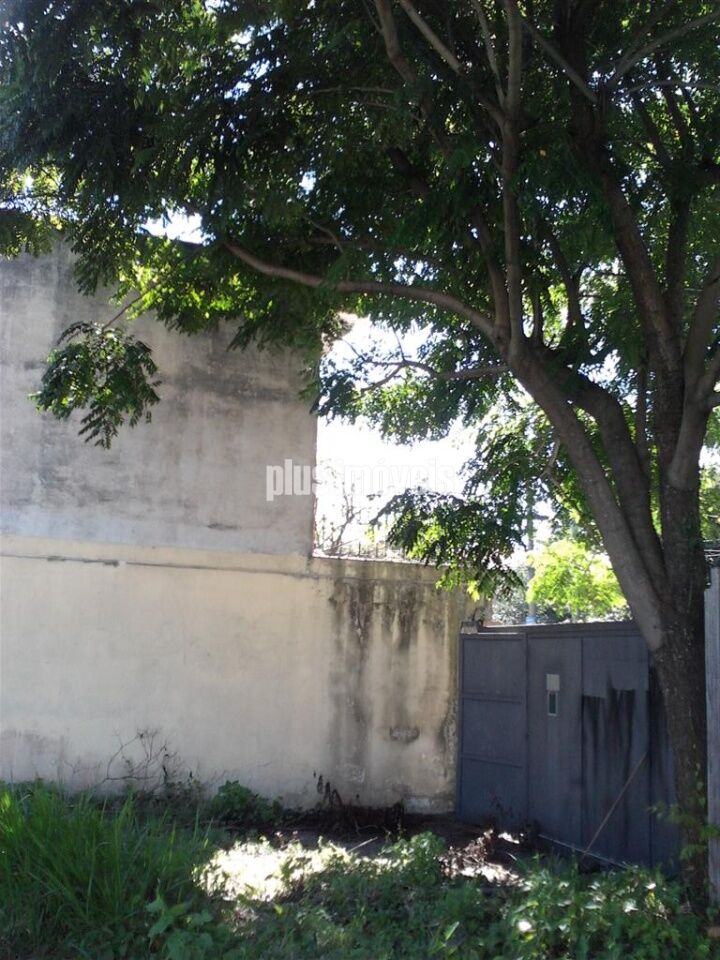 Foto 14