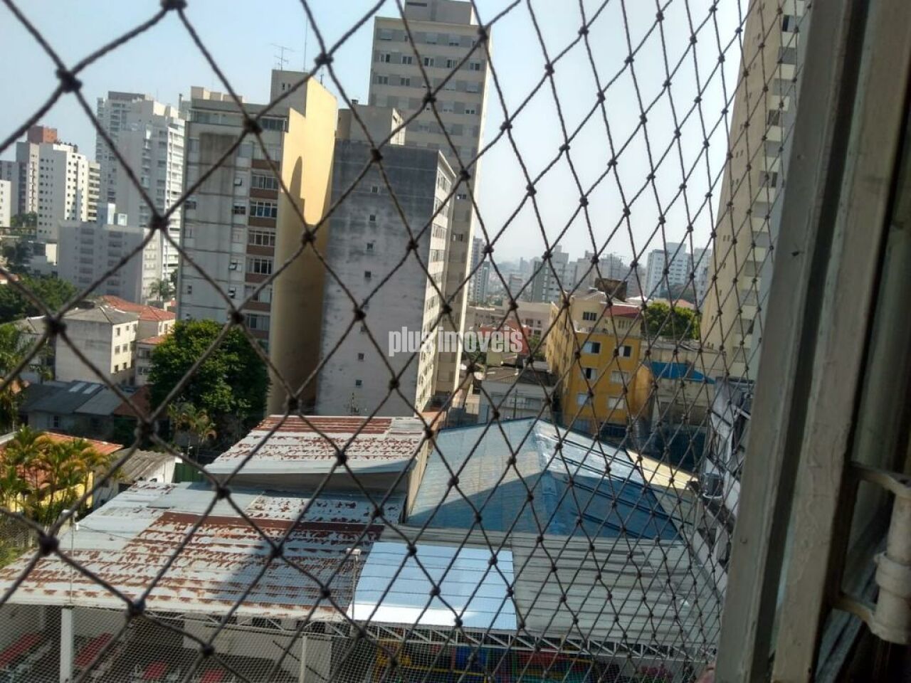 Foto 7