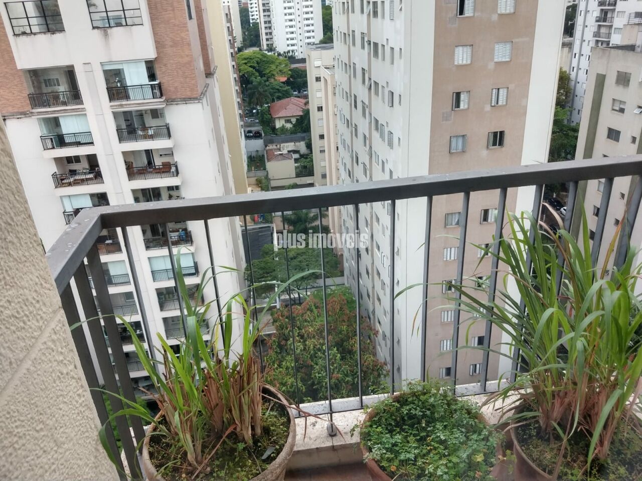Foto 33