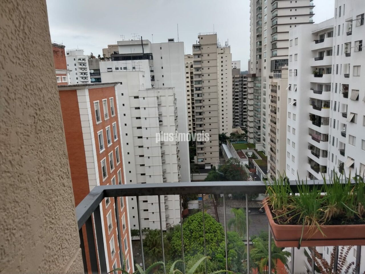 Foto 15