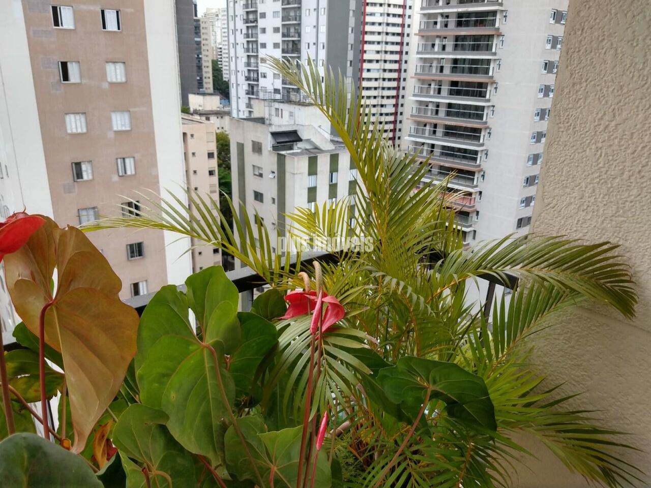 Foto 7