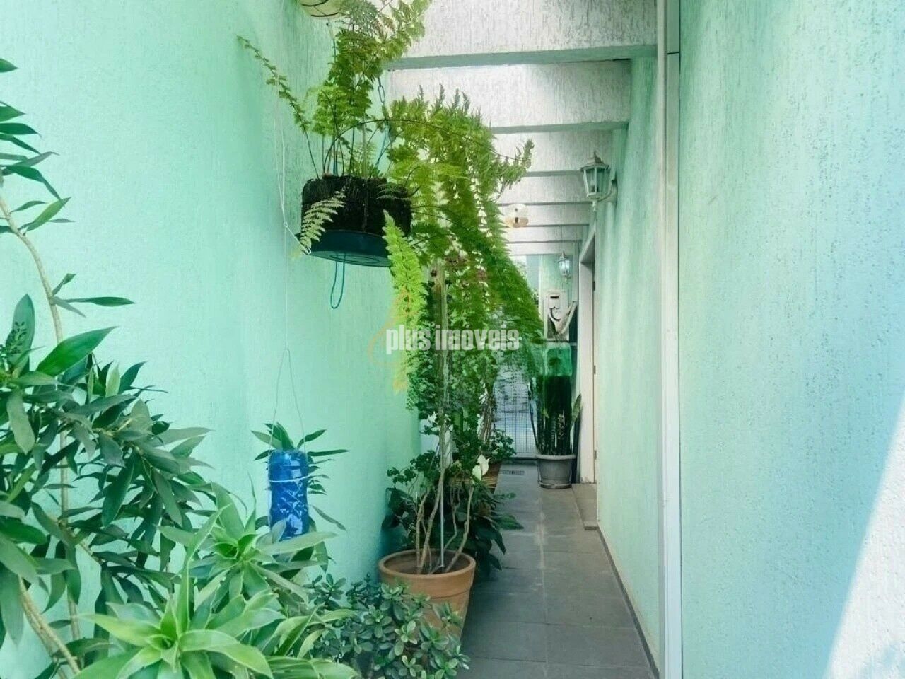 Foto 20