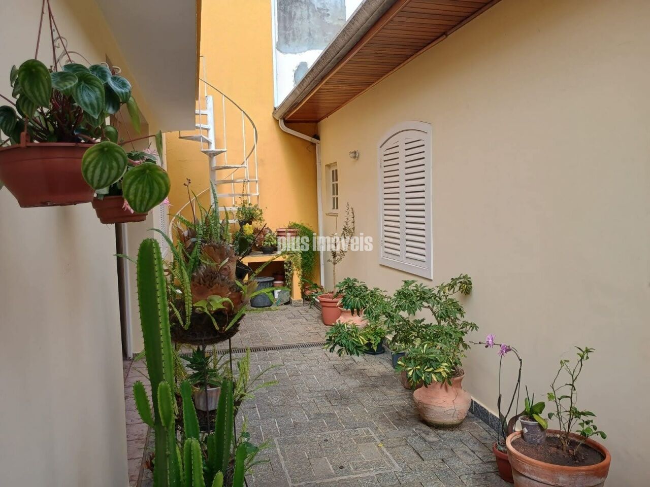Foto 17