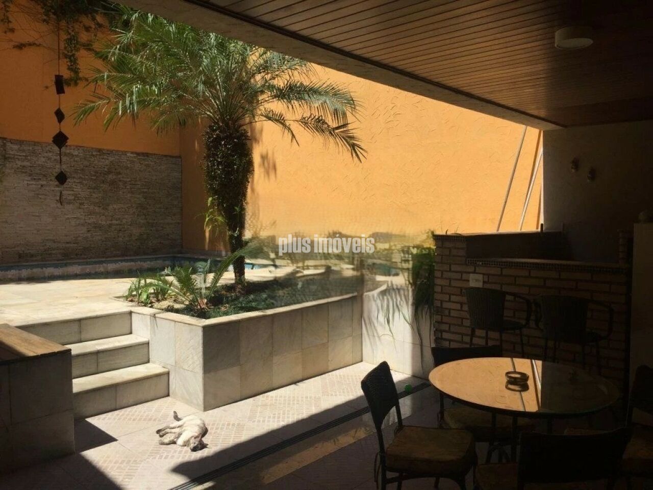 Foto 10