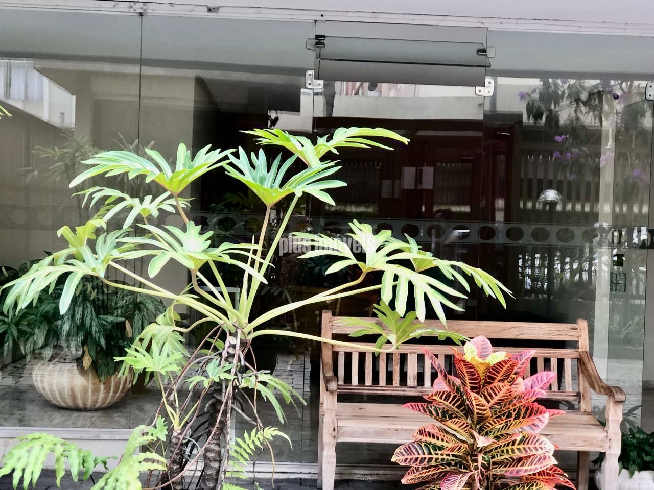 Foto 21