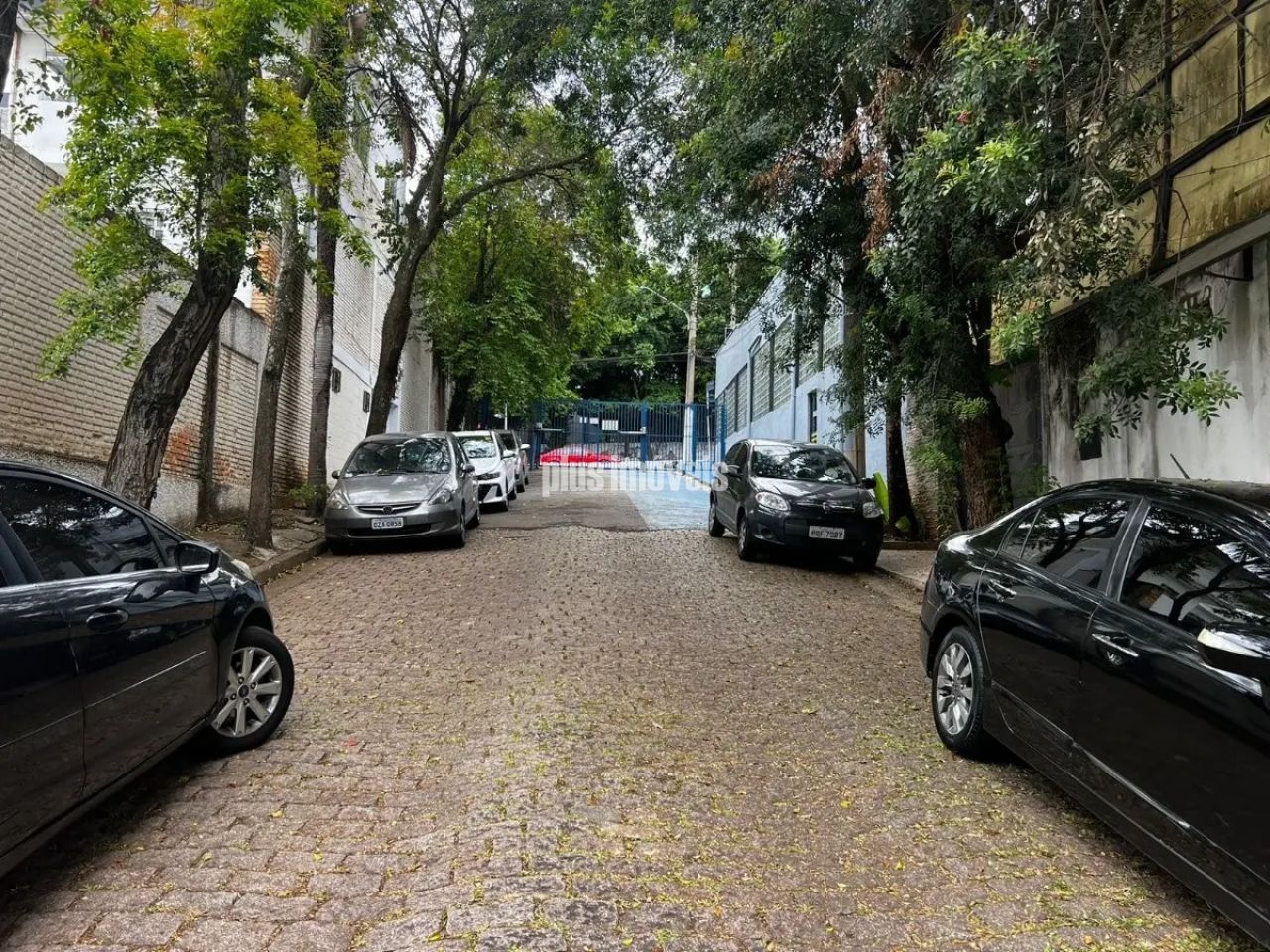 Foto 24