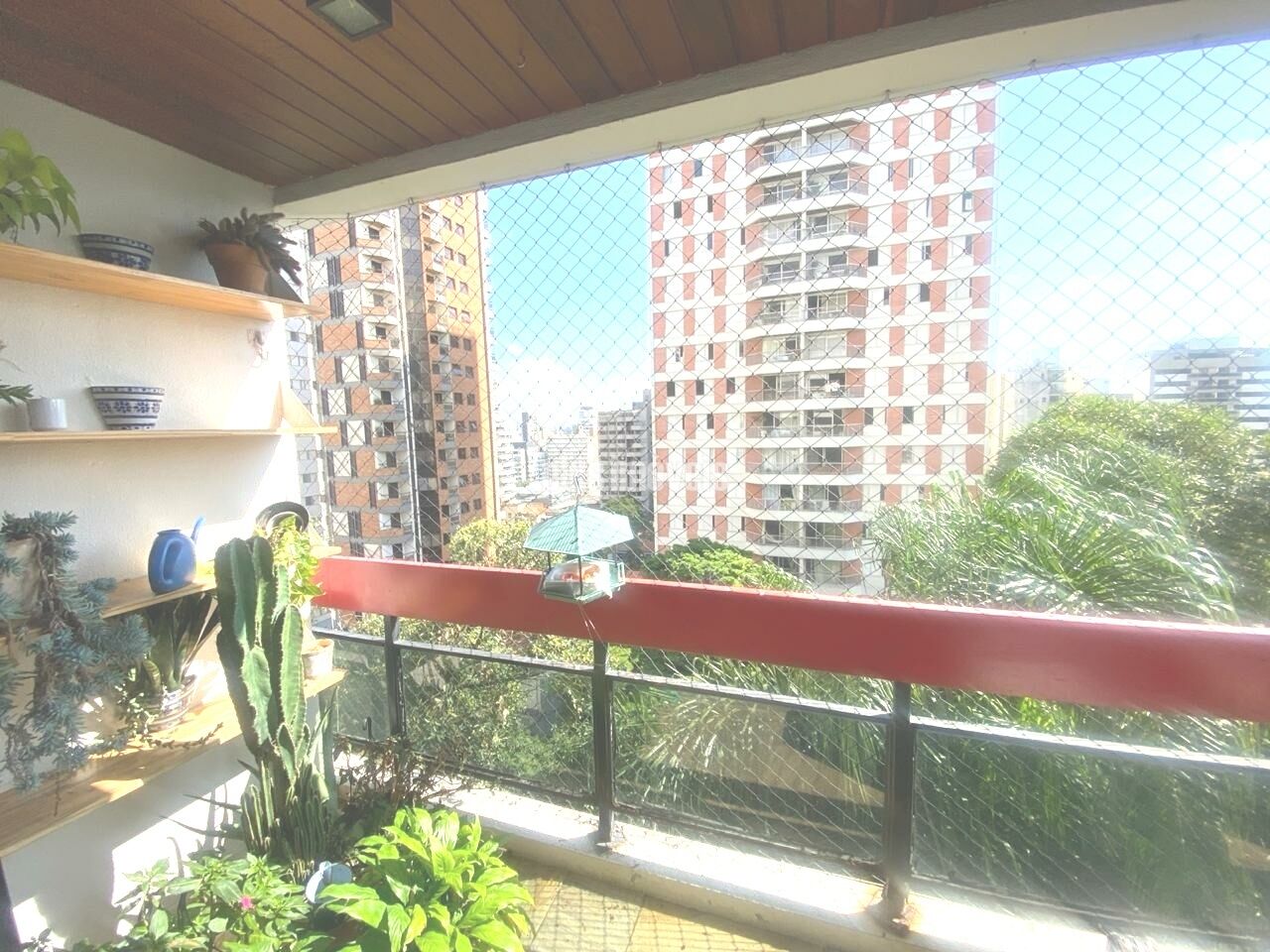 Foto 6