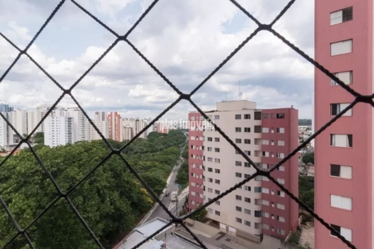 Foto 21
