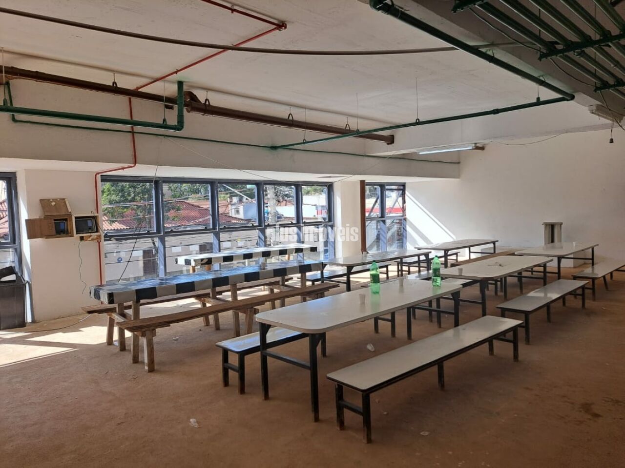 Foto 15