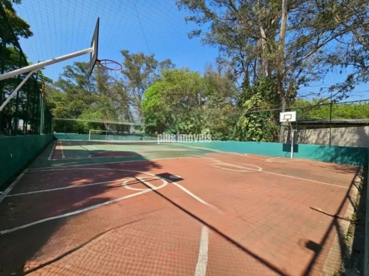 Foto 12