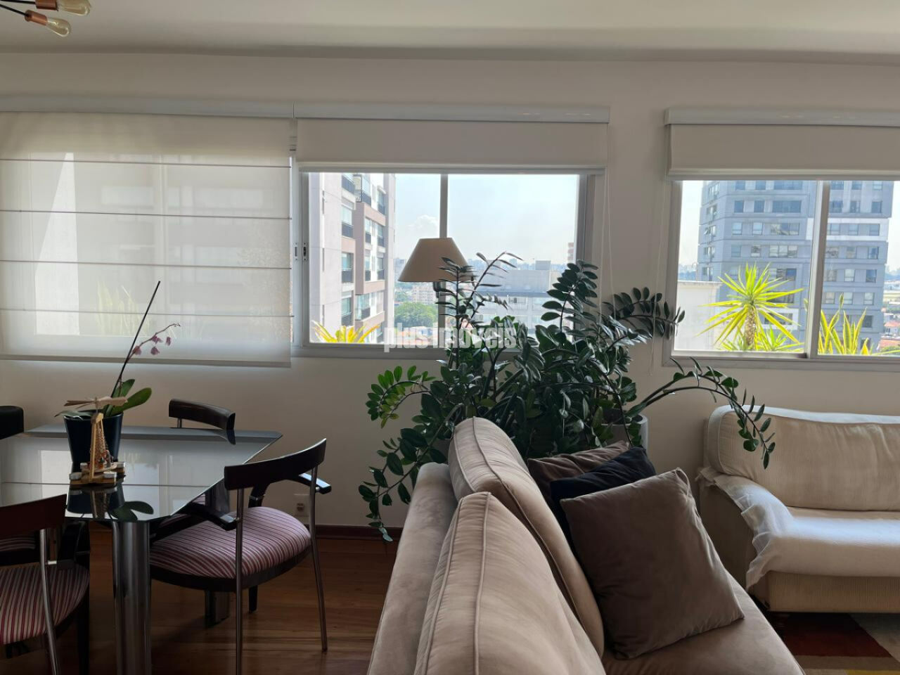 Foto 20