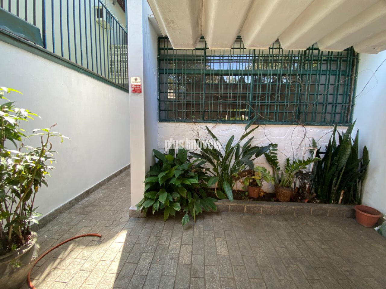 Foto 31