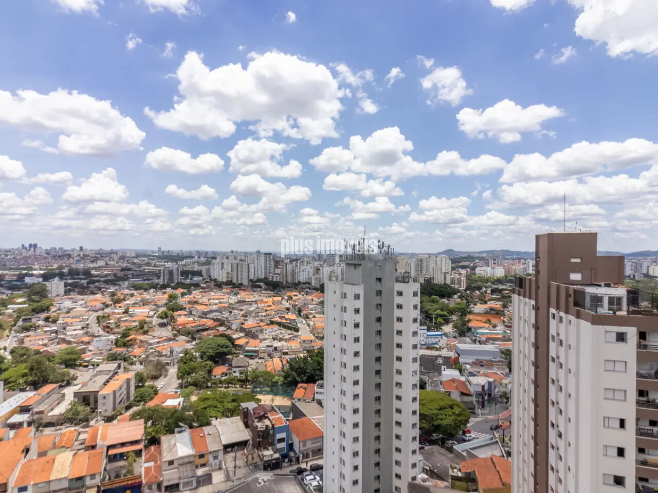 Foto 41