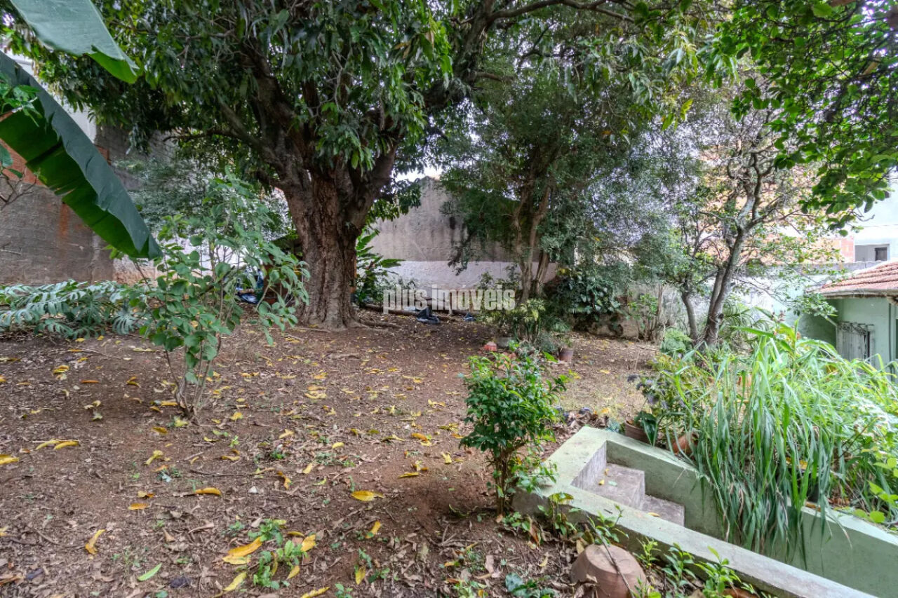 Casa, 4 quartos, 357 m² - Foto 42
