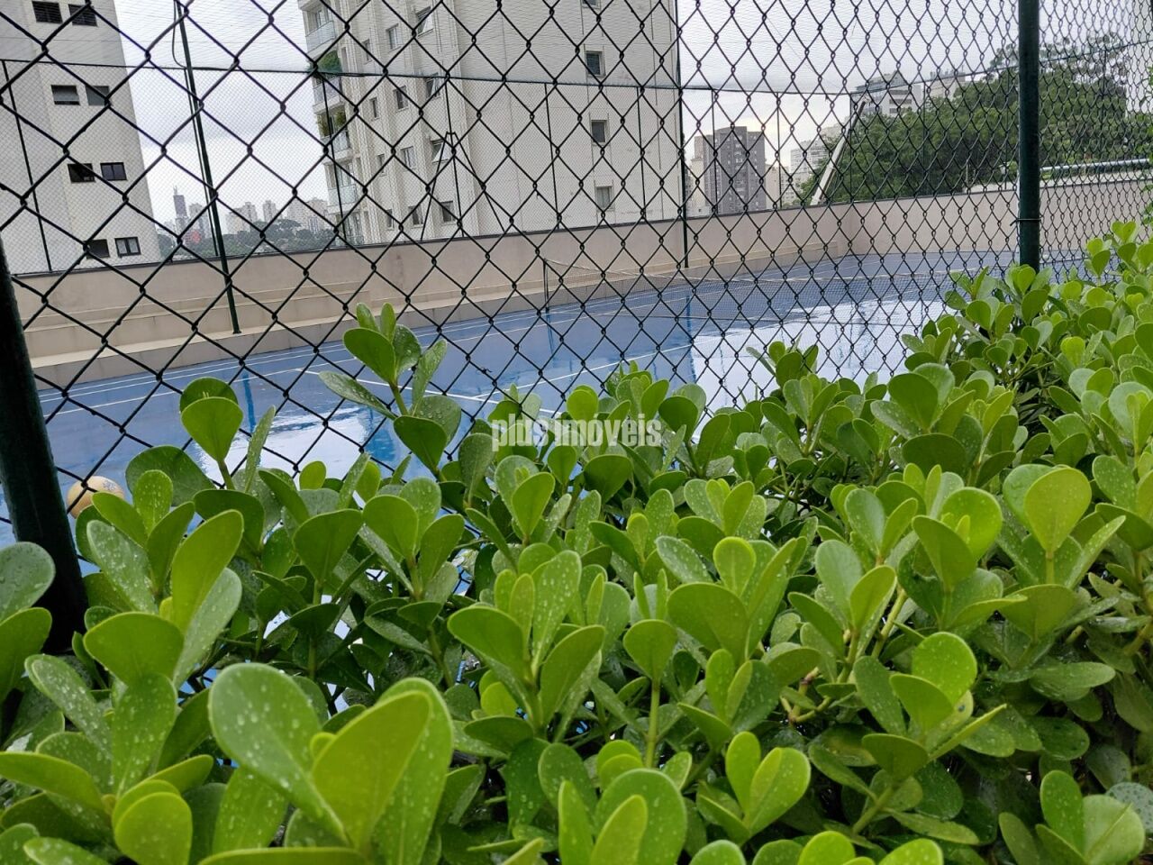 Foto 30