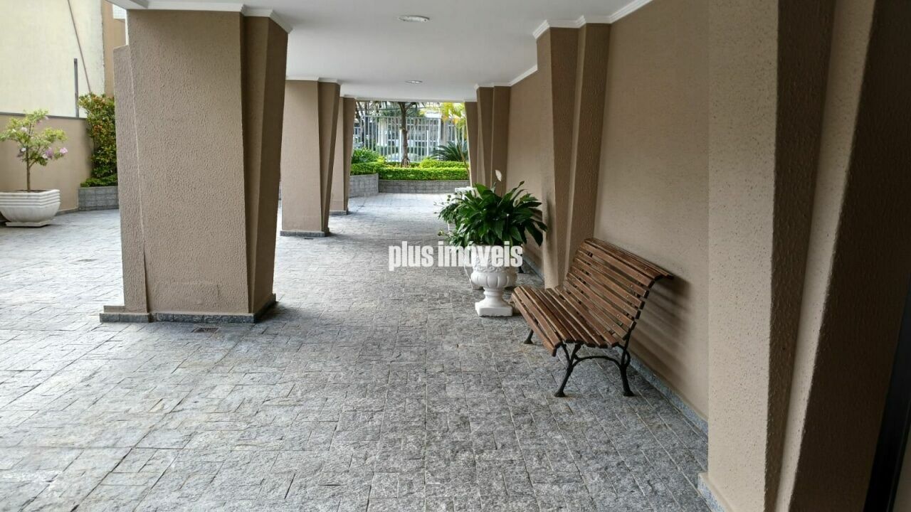 Foto 41