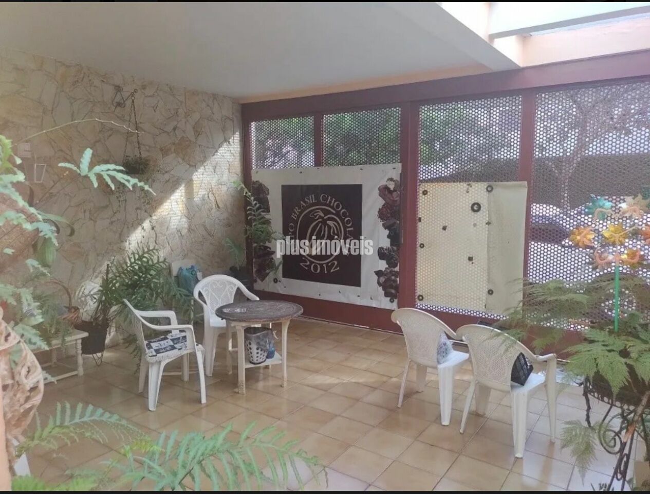 Foto 1