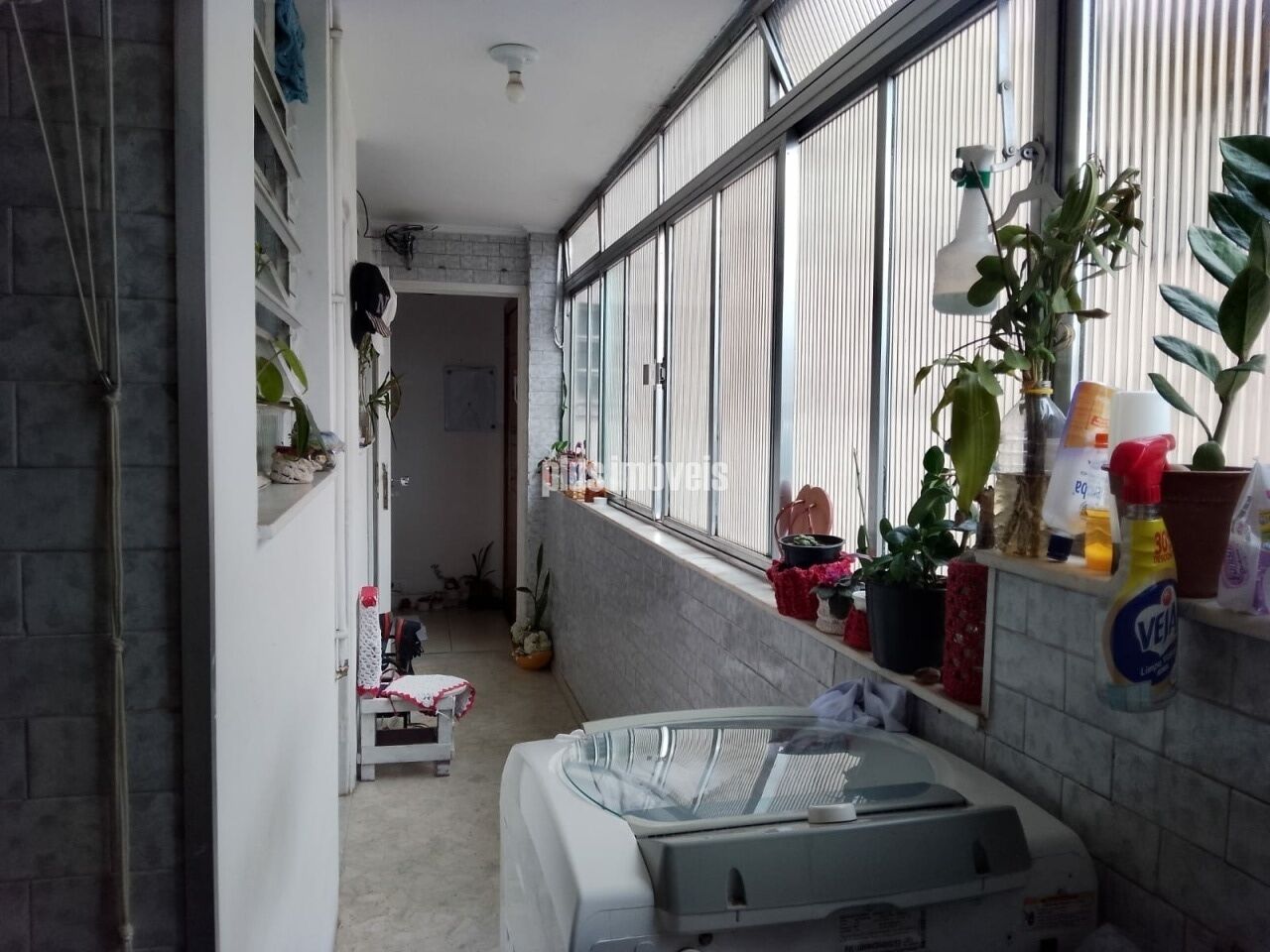 Foto 7